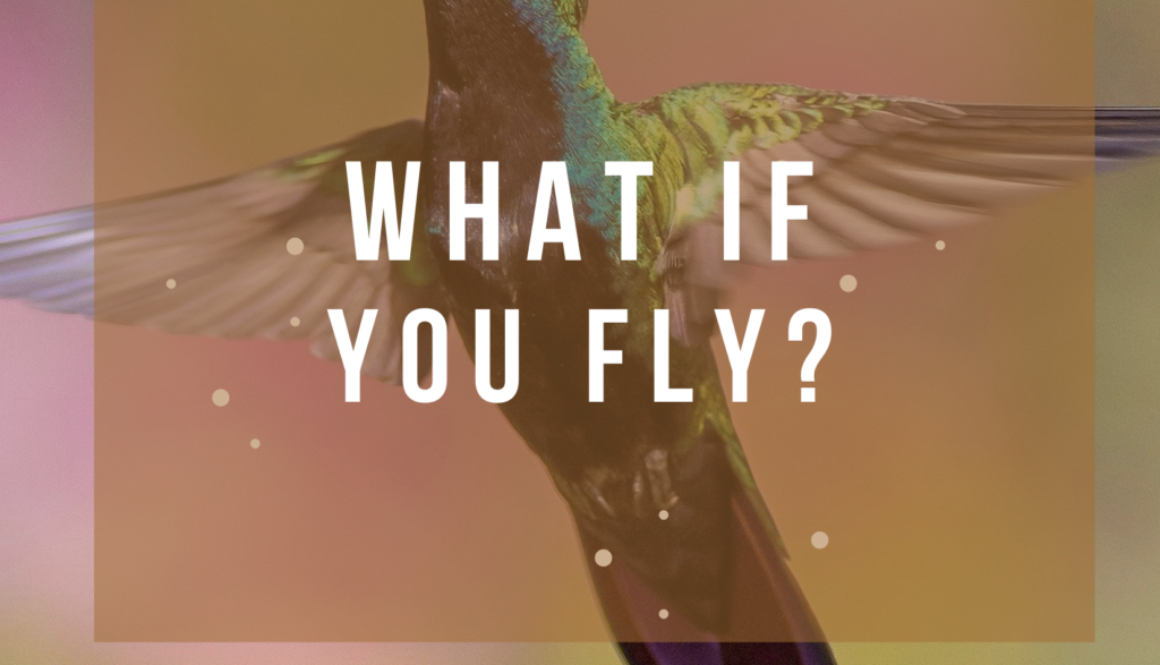 What if You Fly_ 3.16